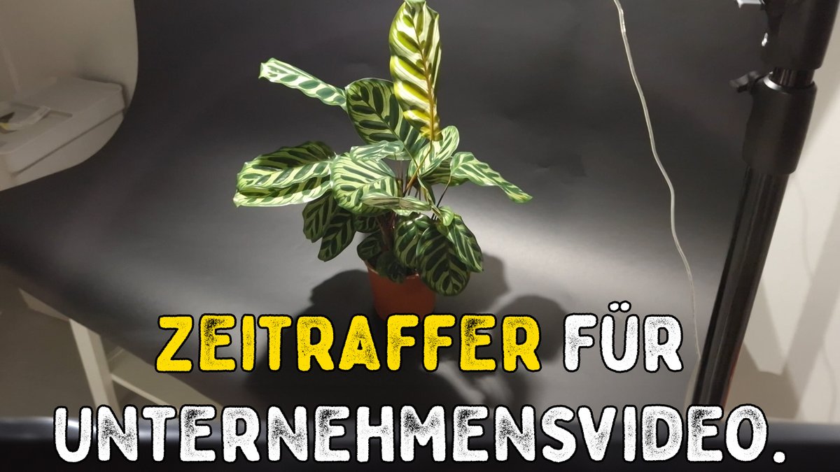 LightColorShade's tweet photo. Zeitraffer für Unternehmensvideo - Vlog 009 https://t.co/9d9QgH0gDK via @YouTube https://t.co/argwgRagBT
