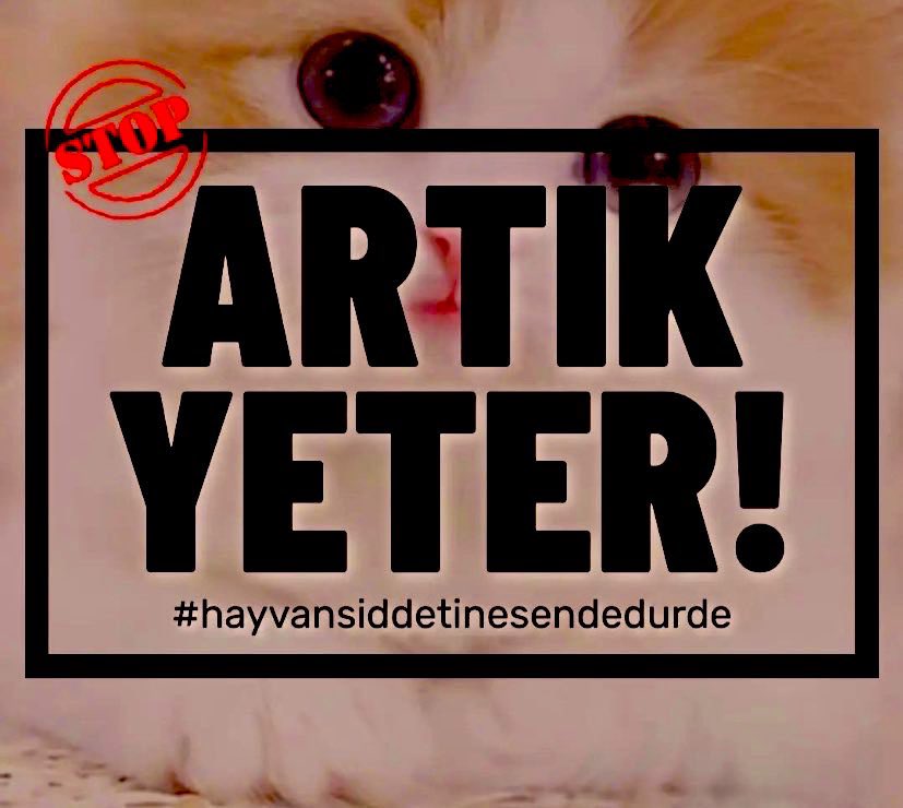 OzleyuMak's tweet photo. @Nihal_K34 @SelenSaydag Hayvanlara yapılan şiddet,istismar,kötü muamele için,
Zorlama hapsi olan,
Alt limiti Ertelemesi olmayan,
Yatarı olan,
Para cezasına çevrilemeyecek
Ağır Cezalar,Yaptırım ve
Cezaların Koşulsuz Şartsız
Uygulanmasını İstiyoruz! #HayvanHaklarıAnayasa
#HayvanlarİçinAdalet
#SHSD https://t.co/hrxgifjg4S