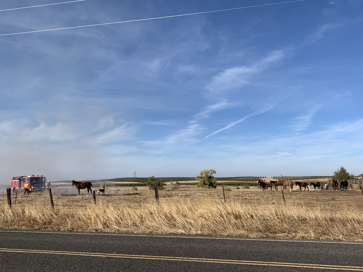 CALFIRETGU's tweet photo. Firefighters are at scene of a 1/2 acre vegetation fire in the area of Gyle Rd and Paskenta Rd. Northwest of Corning. Fire is contained. #GyleFire #CALFIRETGU2023 https://t.co/6gYmYZpX8J