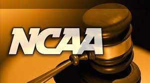 Zachary Chamizo tweet media