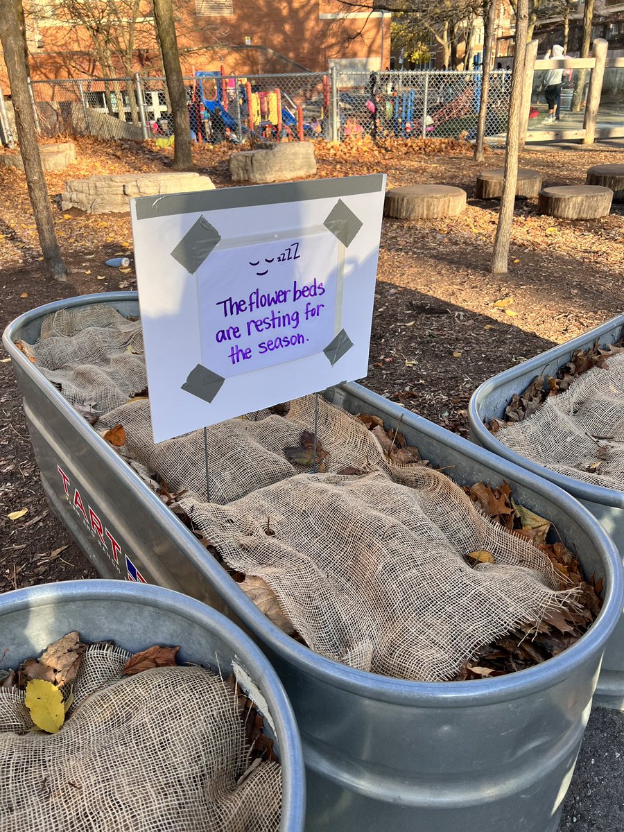 Junior students spent the morning discussing how different beings prepare for winter (humans, insects, animals, plants…) and then helped prepare our flower beds for colder months ahead! 😴 <a href="/BrownPSPanthers/">Brown Public School</a> #NotAllClassroomsHaveFourWalls