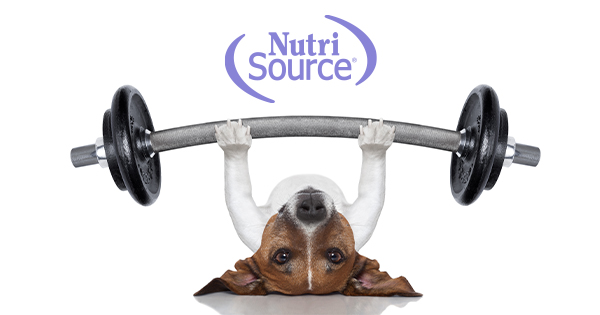 Bone_OKC's tweet photo. What are the benefits of feeding your dog a high-protein diet?

Check out our blog on how protein plays a significant role in your dog's nutrition!

Don't wait and click now to learn more! 🐕 https://t.co/OkaJHIR1dI https://t.co/NocQQmxBDM