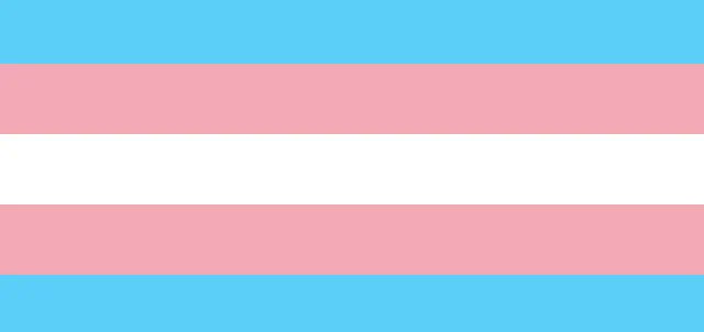 This week (13-19 Nov) is #TransAwarenessWeek. You might be asking, we've had nearly a decade of folks being very aware of trans people existing, so what gives? Why do we need a week? Read on 🧵