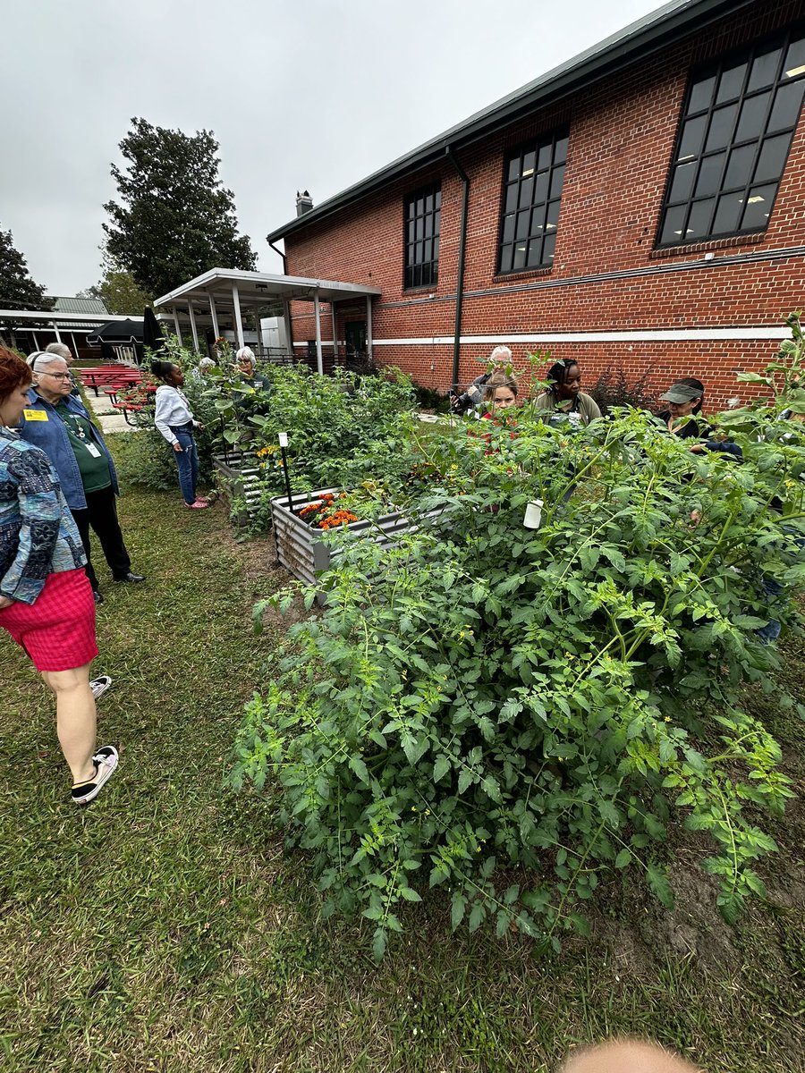 Christopher Roy (@royfansfl) on Twitter photo We had our first elementary raised bed garden tour today, and it was a big success! WPE, NHJ, MSE, and AYE. @LivengoodDC <a href="/MCPSWellnessPE/">Charity Corneliussen</a> <a href="/KinardsConnect1/">Kinard’s Connections</a> <a href="/dixonk2019/">kristi Dixon</a> We had our first elementary raised bed garden tour today, and it was a big success! WPE, NHJ, MSE, and AYE. @LivengoodDC <a href="/MCPSWellnessPE/">Charity Corneliussen</a> <a href="/KinardsConnect1/">Kinard’s Connections</a> <a href="/dixonk2019/">kristi Dixon</a>