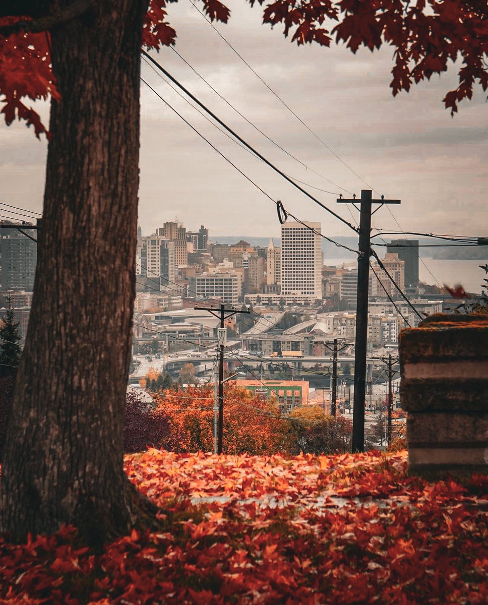 visitpierce's tweet photo. that fall frame is… 👌🏽
📸 @sshortt.pnw
#throughthelens #fallmood #moodymonday #hellotravel #fallyall #traveldiaries #perfectlyframed #cityofdestiny #traveltacoma #mountaincitysea #architecture #tacomawa #travelideas https://t.co/Ni18O1VOvJ