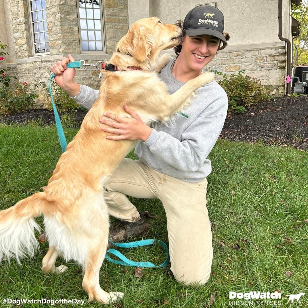 Well this incredible picture is going up on the DogWatch of Columbus office wall for sure! Look how happy Daisy the Golden is to see her DogWatch Hidden Fence technician Jared. So sweet! 💚🐾

Learn more at bit.ly/3FUfsrY 👍