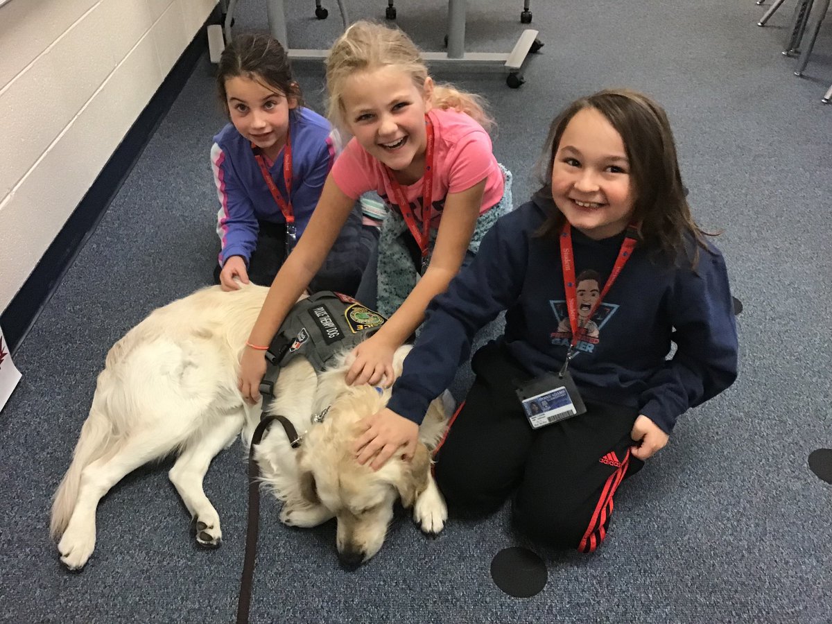 mrsjjohnson3rd's tweet photo. We loved having Oakley and Mr. Sterwerf from the McHenry Police Department visit to learn more about how a therapy dog helps people. @MchHenryPD @BulldogBest #Empower95 https://t.co/GSR3rFvz74
