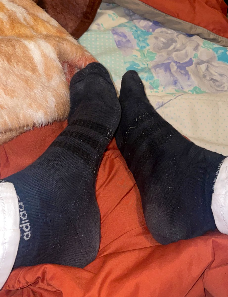 dminatorsalex's tweet photo. Que sumisa sucia me compra contenido de mis pies mal olientes , sucios, o vídeos humillándote!
#FindomKing #sexting #humillacion #porno #pies #gaycasero https://t.co/grktdBaypM
