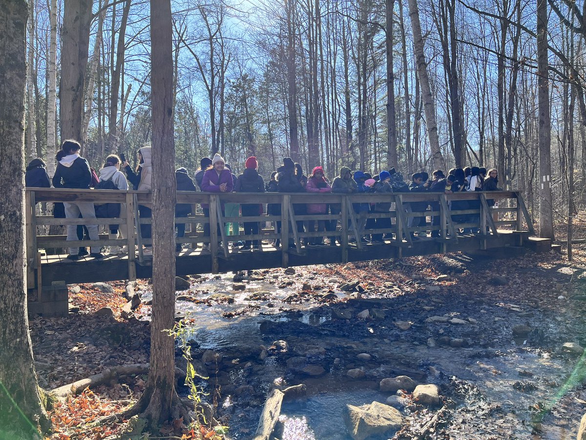 Mrs. Rodrigues tweet media