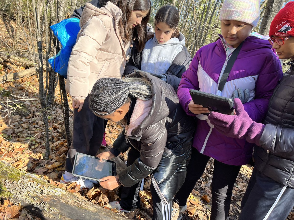 Mrs. Rodrigues tweet media