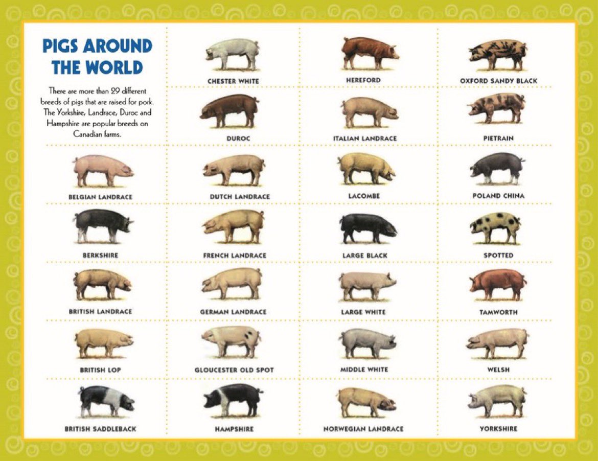 Jim Sutherland tweet media