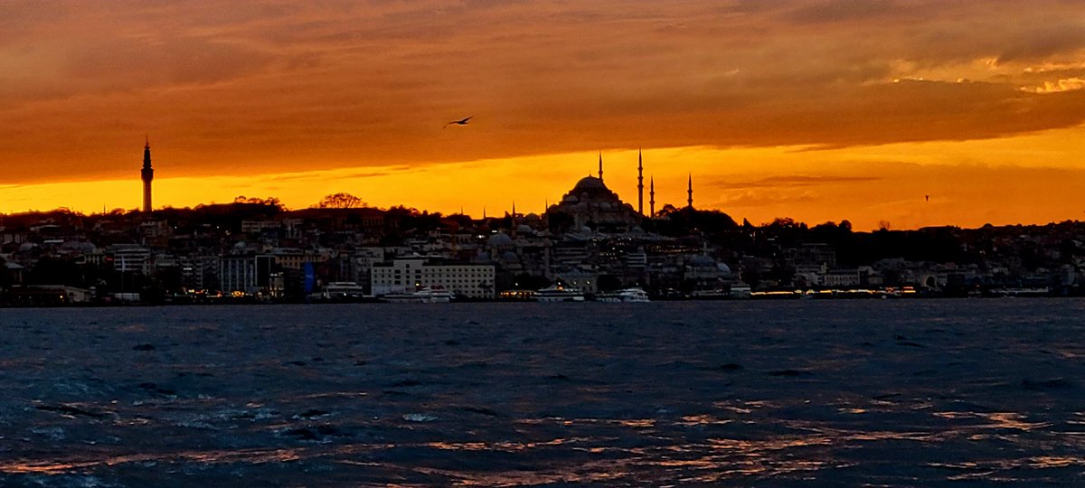 Istanbul doing it's thing.

#Ergo #Cardano #PalmyraComDex @zenGateGlobal