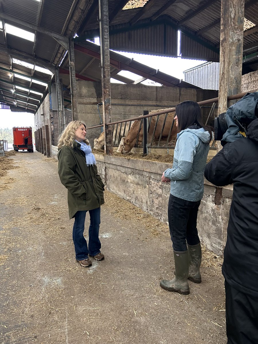 I was privileged to speak to Lucy Houston today as the family prepares to sell the prestigious Gretna House herd. A heartbreaking decision. These cattle are the life’s work of master stockman Alasdair Houston- who happened to be pretty good at tourism too. A true gent, so missed.