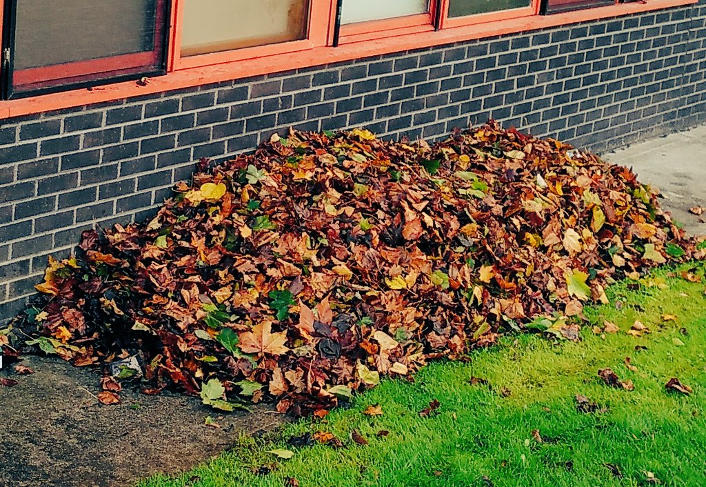 JustPlants's tweet photo. Autumn means just one thing for our exterior team ... 🍁🍂🍁🍂🍁🍂 and more 🍁🍂🍁🍂🍁🍂

Oh, and tending the composting areas on all of our sites 💚

(actually, there's a third thing: endless leaf puns on the company WhatsApp group 😏) https://t.co/jF6XNc4QCO