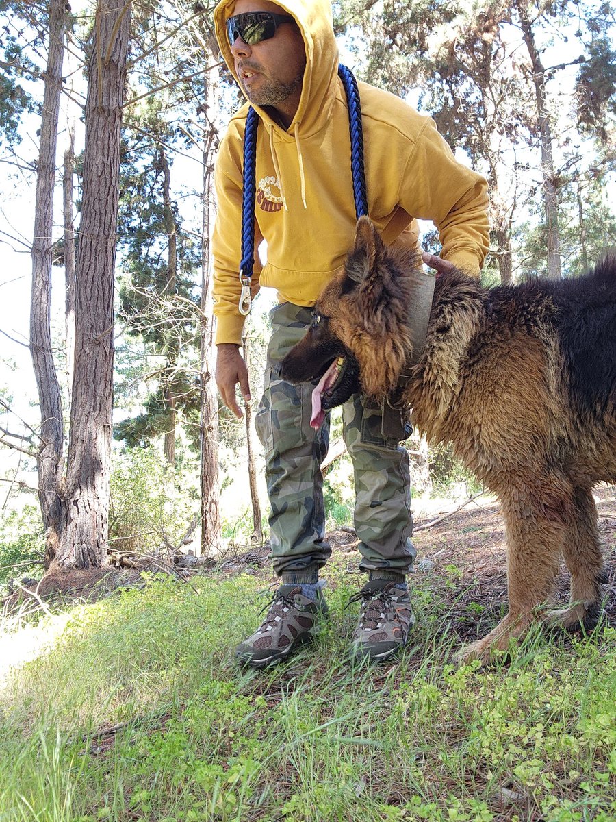 Amo tu compañía...
