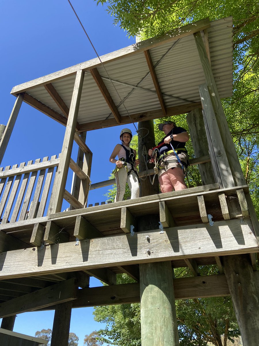 St Bridget's Primary School tweet media