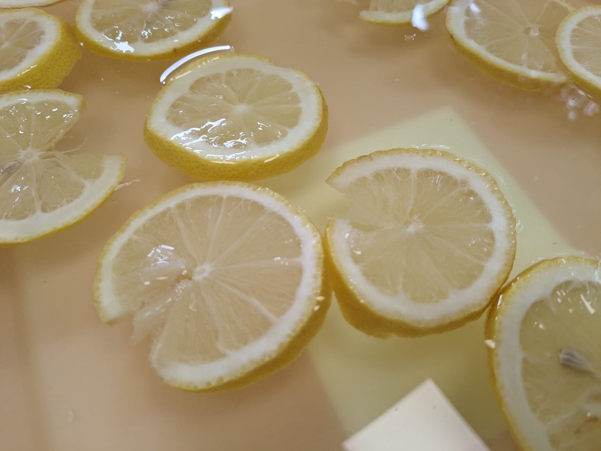 🟡🟡El viernes pasado los más pequeños del cole celebraron la fiesta del color amarillo 💛 🐥⭐🌻.  Qué importante es saber enseñar de una manera lúdica y nuestros peques lo saben. Poco a poco creando rutinas desde pequeños.
#FiestaAmarillo