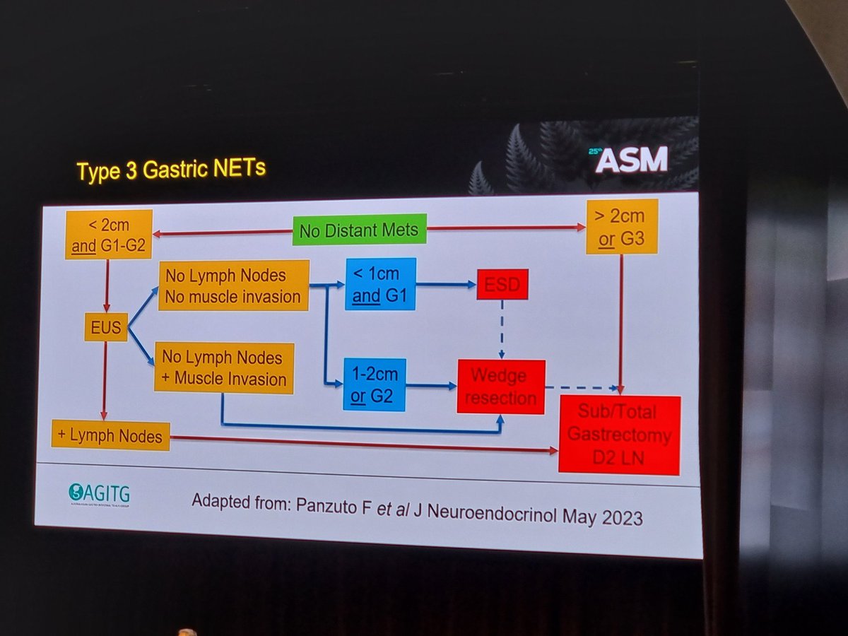 Dr J Pasieka on When to resect Gastric NETs? #NETs