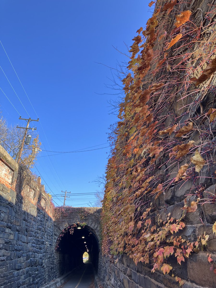 HobanGirl's tweet photo. I still find each day too short for all the thoughts I want to think, all the walks I want to take, all the books I want to read, and all the friends I want to see.
β John Burroughs, 1913
#WilkesSt #scuppernong #WilsonBridge end of the tunnel #UnionSt #OronocoBayPark #OldTown https://t.co/5Z7G967nc8