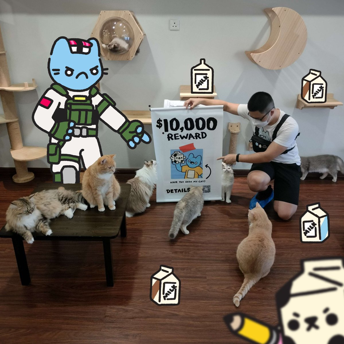 Cool Cats tweet media