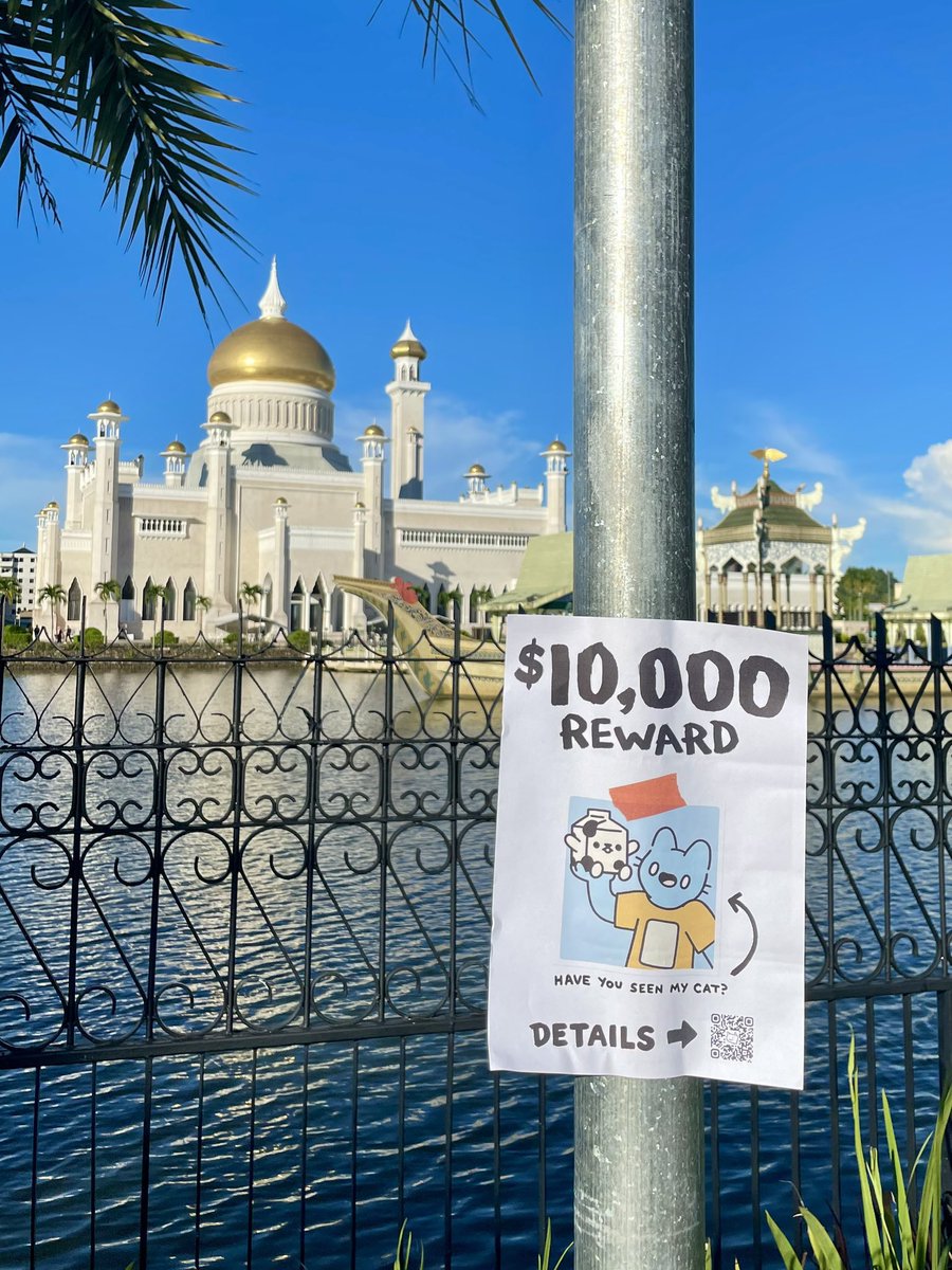 Cool Cats tweet media