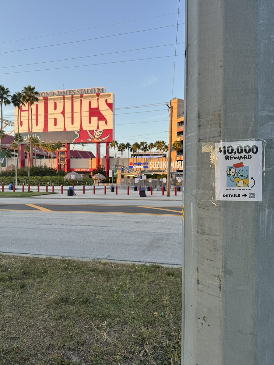 Cool Cats tweet media