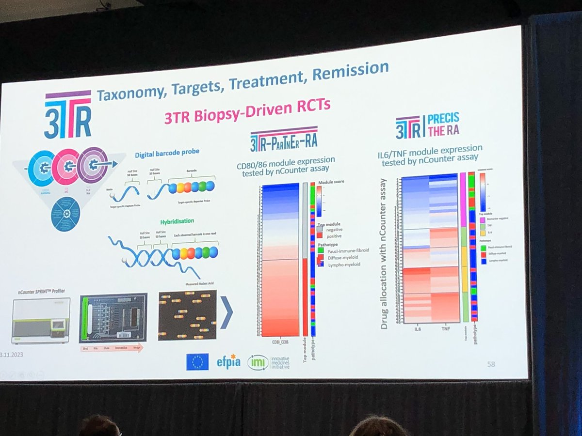 Costantino Pitzalis discusses synovial biopsy-driven trials in #RheumatoidArthritis. Exciting new trials using molecular signatures to chose treatment are underway! #ACR23

Read the STRAP trial
thelancet.com/journals/lanrh…

And R4RA thelancet.com/journals/lance…