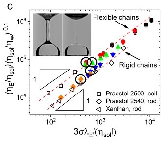 Gleb Yakubov tweet media