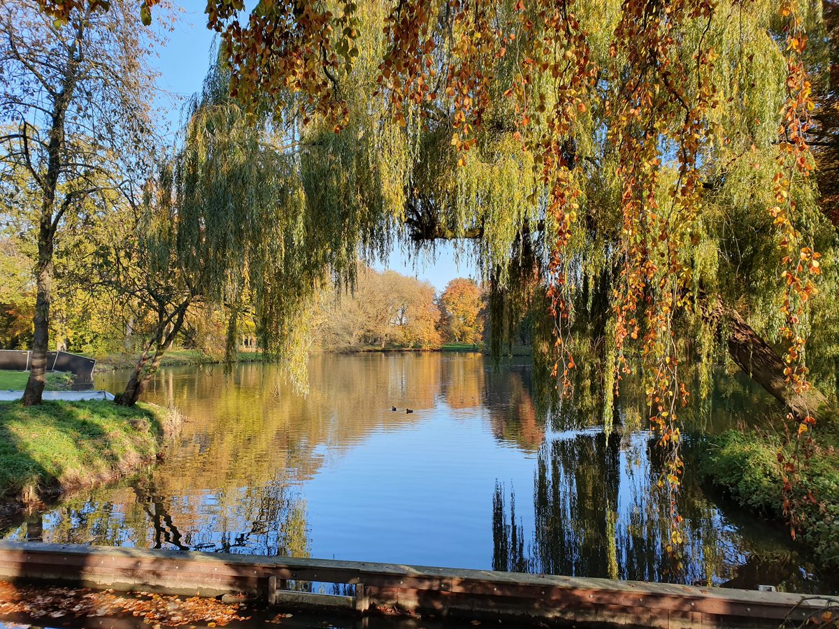 #goodnight #twitterfriends #twitterworld <a href="/kasteeldehaar/">Kasteel de Haar</a> #autumnfalls #AutumnVibes #AutumnBeauty #landscapephotography #beautifulutrecht #Haarzuilens