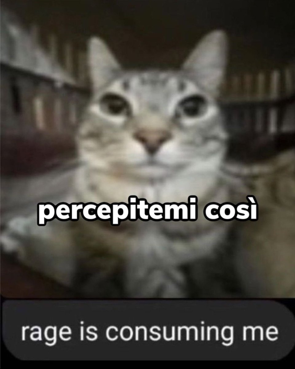 marci (@marcellspagnoli) on Twitter photo 