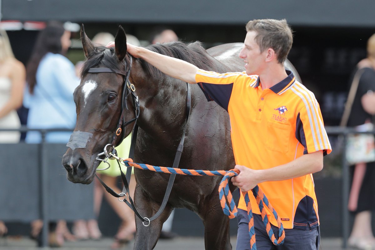 LOVERACING.NZ (@loveracingnz) on Twitter photo "She has had a faultless couple of weeks since her last run, so we couldnβt be any happier."
<a href="/TeAkauRacing/">Te Akau Racing</a> Riccarton stable foreman Hunter Durrant believes It's Business Time is on song for Wednesday's Gr.3 Coupland's Bakeries Mile (1600m).
π Read more: buff.ly/3QDqerr "She has had a faultless couple of weeks since her last run, so we couldnβt be any happier."
<a href="/TeAkauRacing/">Te Akau Racing</a> Riccarton stable foreman Hunter Durrant believes It's Business Time is on song for Wednesday's Gr.3 Coupland's Bakeries Mile (1600m).
π Read more: buff.ly/3QDqerr