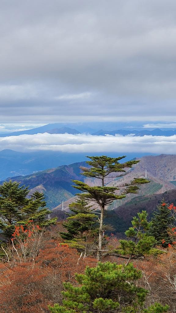 den_droneworld's tweet photo. 秋の景色
#紅葉
#秋
#三ッ峠山 https://t.co/3ETsQfI6er