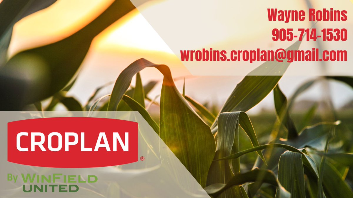 Starting a new journey as a dealer for #WinfieldUnitedCanada. Serving Niagara & surrounding areas. If you’re interested in learning more, please reach out to me 🌱🌽

#croplan #ontag