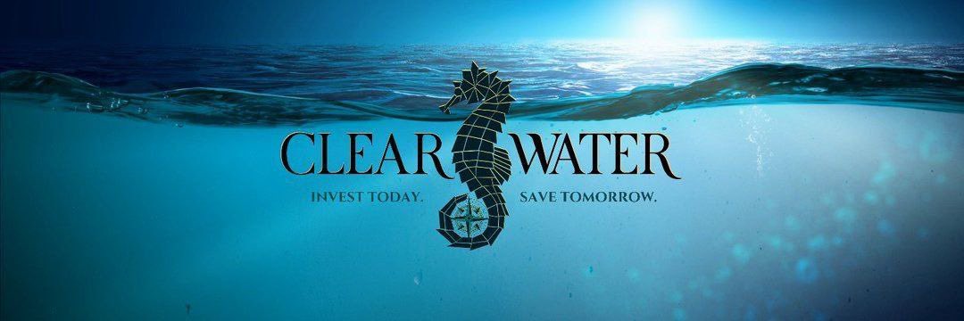 BrewMetaX's tweet photo. @Jayecane You should try some @ClearWaterCLW. Great tasting and as eco friendly as it comes. Clearswap tech is also sweet to buy $CLEAR on #BNB using #ETH https://t.co/WBF0ABnI86
