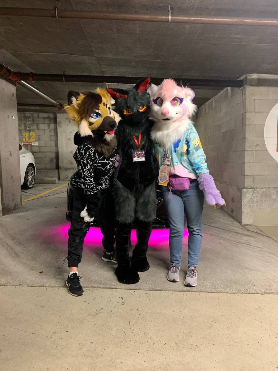 AlphaKraftC's tweet image. RAAAUGHHH just got home from @HowloweenCanada and it has honestly been one of my favourite cons so far! Y’all are so awesome and it was wonderful hanging out with everyone! 💙
Also if you have any photos of me I’d love to see them!
#howloween #furry #fursuit