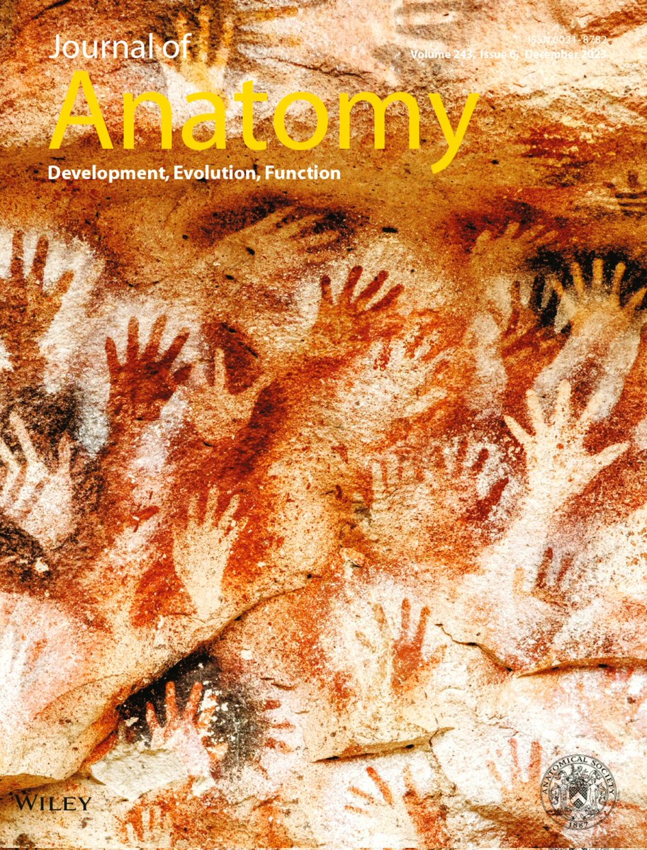 I am honored to secure the Cover Image for the Dec 2023 Issue of the Journal of Anatomy (@JournalofAnat). It shows the incredible cave art from the Cueva de las Manos in Argentina. It's a homage to our ancestors. Humanity will triumph! Peace will prevail! We shall overcome!