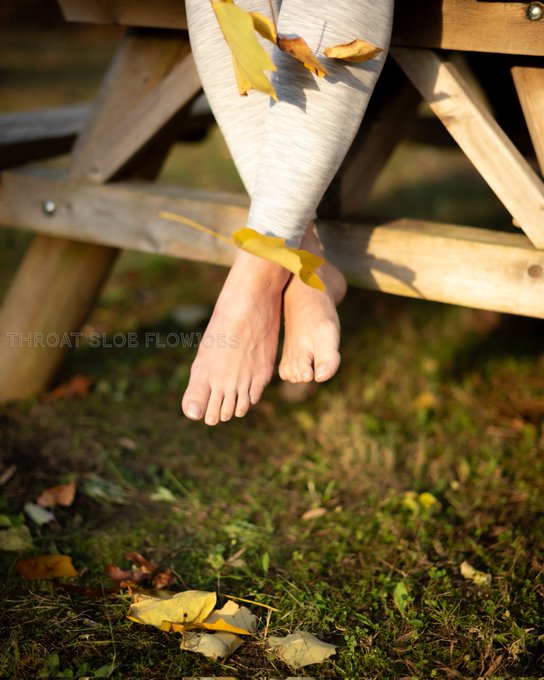 What would you do if you came across these fall foliage feet in the park? Should I post more pics of<a href="/tag/flowjob"class="tags"><span>#flowjob</span></a>