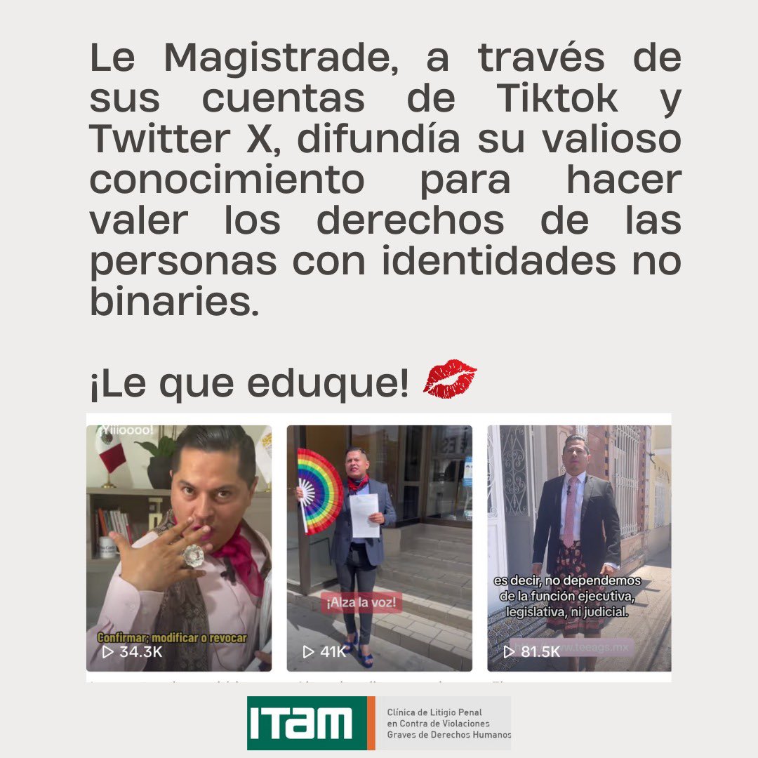 ClínicaDeLitigioPenalITAM tweet media