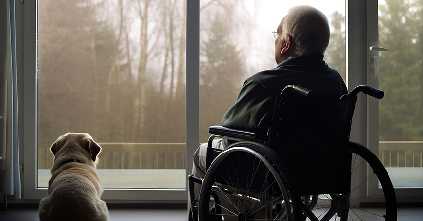 A study published in Australian College of Nursing (@acn_tweet)'s Collegian Journal has shed light on critical areas for improvement in the delivery of palliative care, particularly among rural nurses. Read more on CKN: ckn.org.au/content/study-…