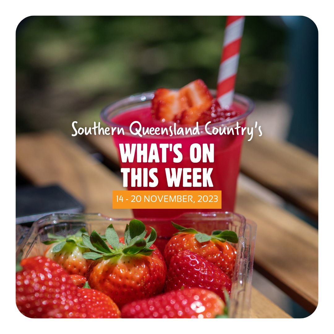 qldcountry_'s tweet photo. 🍓🌟 Discover this week's highlights in Southern Queensland Country! Berry festivals, country dinners, winery tours, and markets await. Day trip or local weekend? Find it all here!

📅 Details: https://t.co/z9pnyO5pYm
📢 Hosting an event? Drop it in the comments! #SQCountry https://t.co/akTBlJzzpY