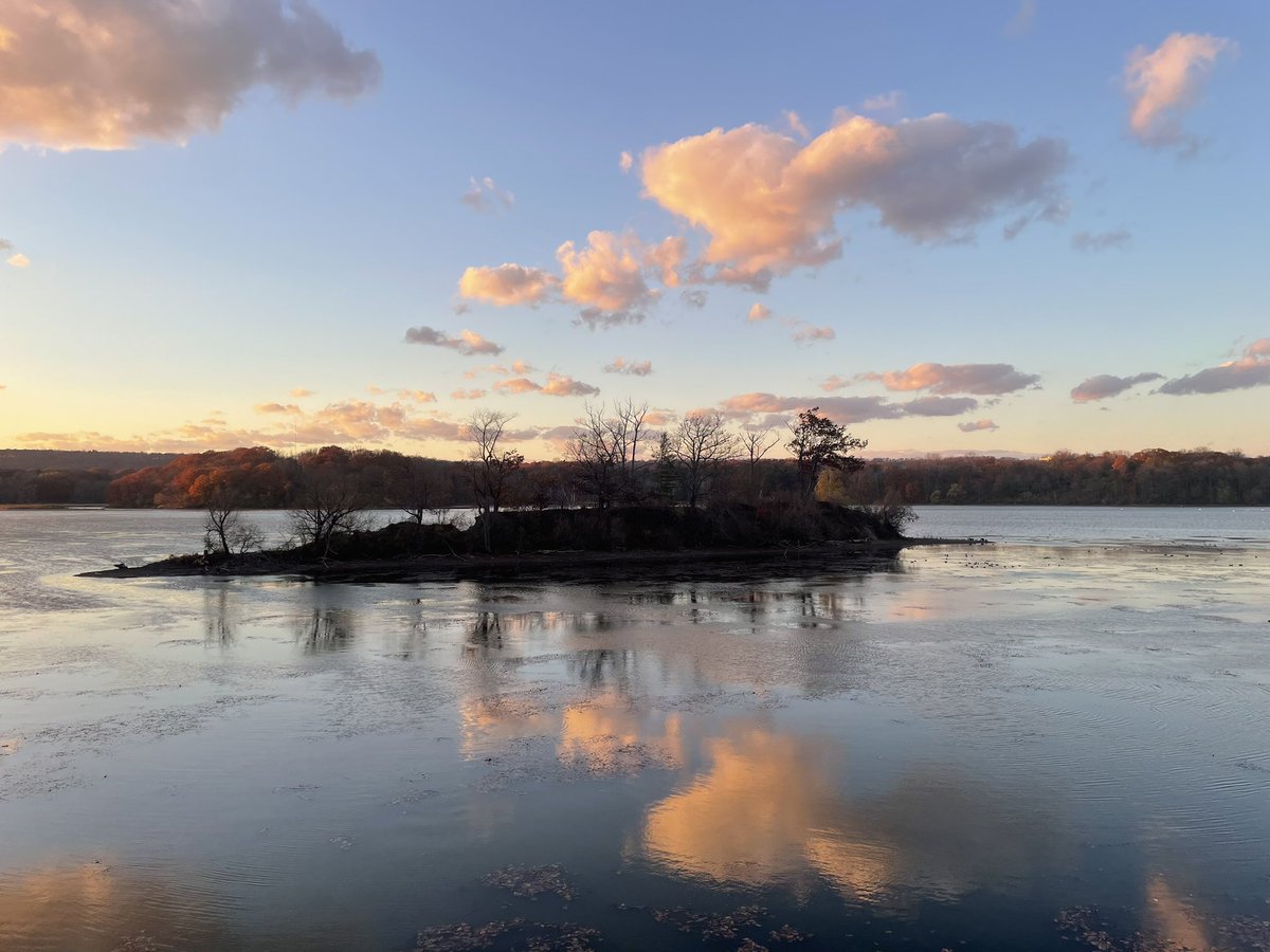 Restaunique tweet media