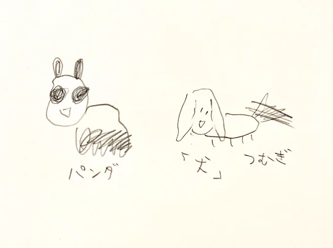 (*☌ ಎ ☌)<パンダと犬描いたよ 