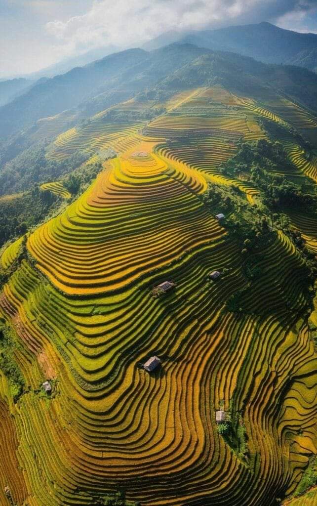 Good morning.!
Một ngày mới ngập tràn năng lượng nhé mọi người... Cùng nhau xây dựng cộng đồng x lớn mạnh và dài lâu cùng nhau ạ.