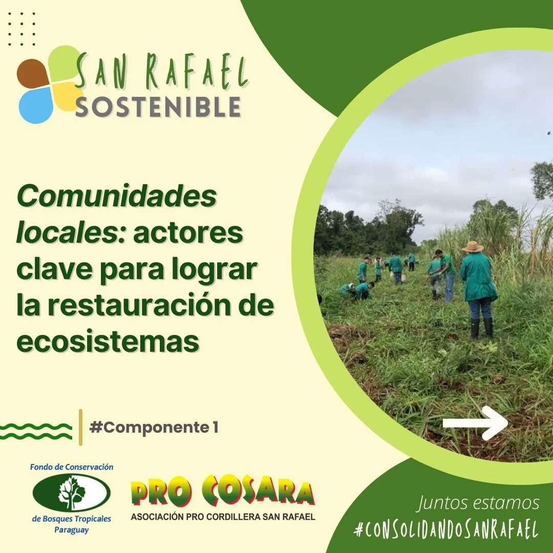 PRO COSARA tweet media