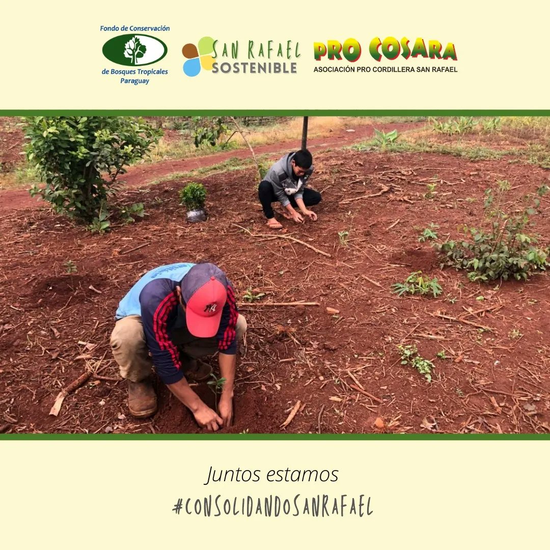 PRO COSARA tweet media