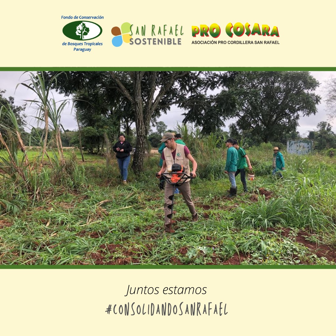 PRO COSARA tweet media