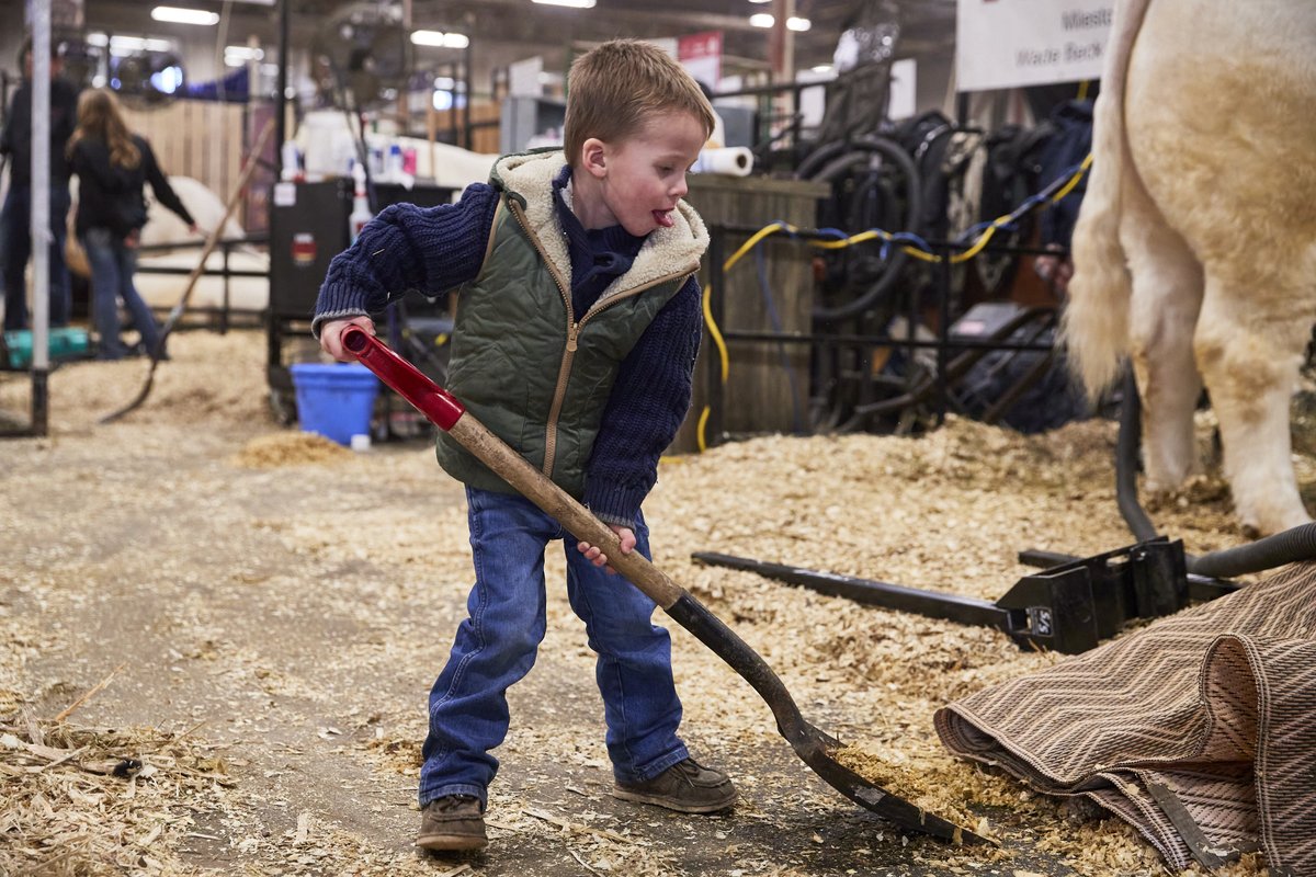 Tourism Regina tweet media