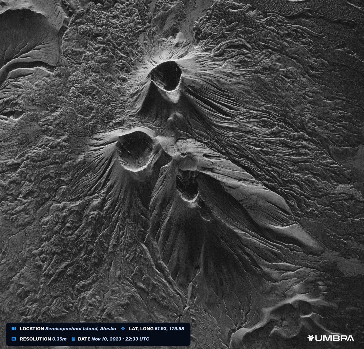 Todd Master tweet media