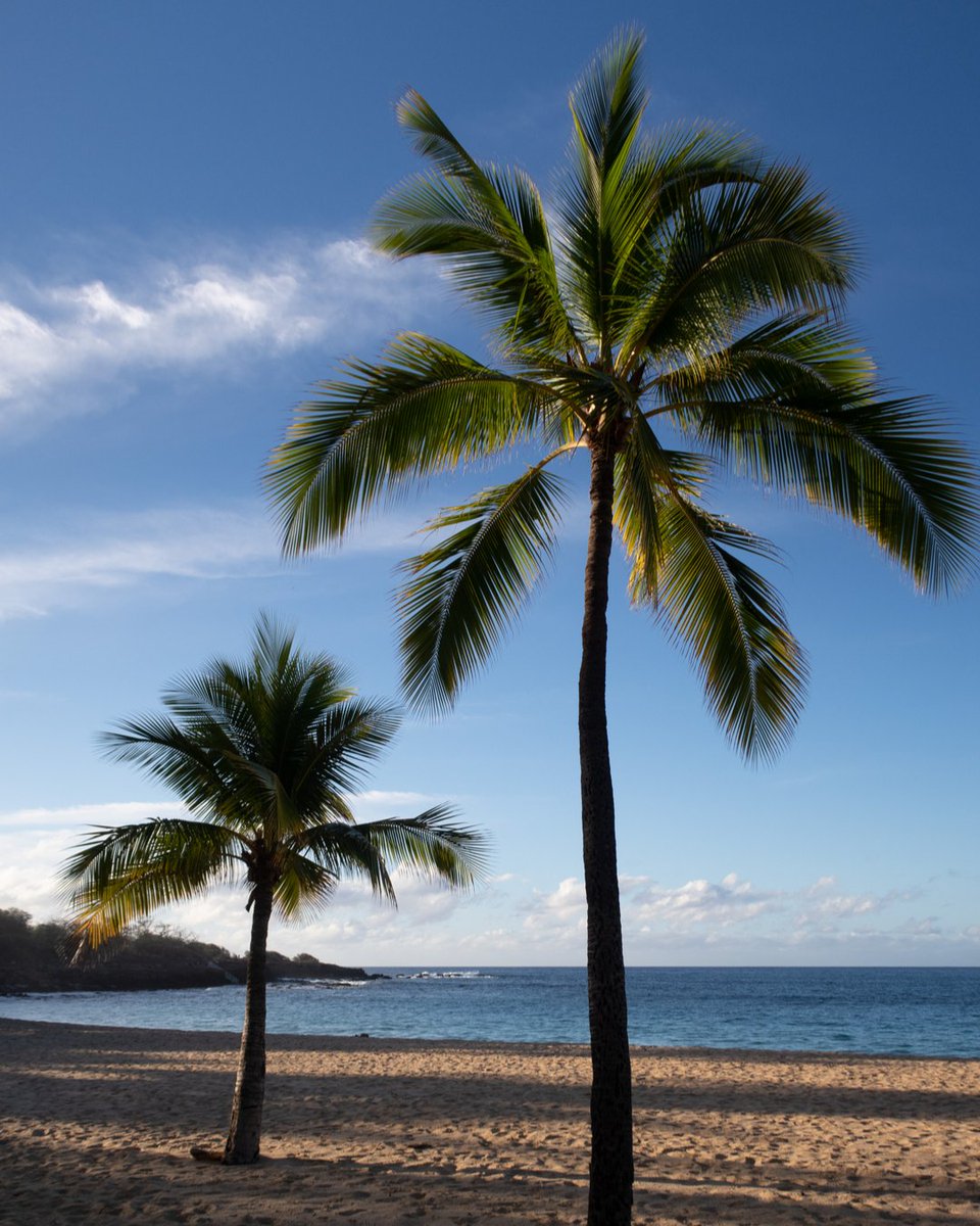 Photographed in Hulopo'e, Lāna'i at 11:23 AM