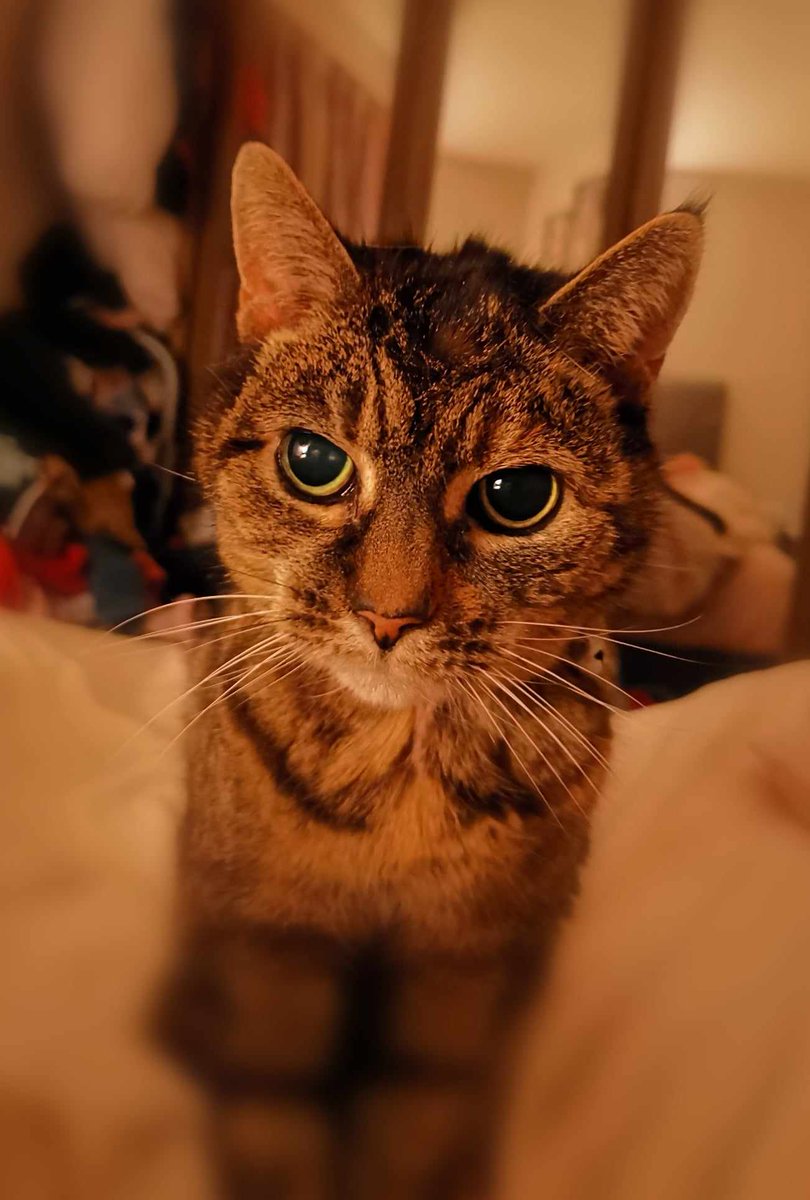 SIMON COOPE tweet media